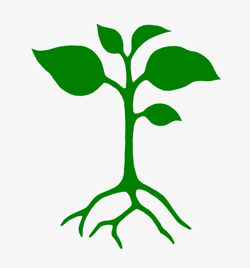 Master - Plant Growing Stencil, transparent png