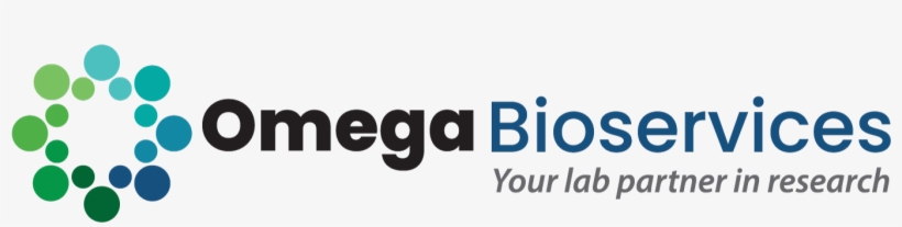 Back Home - Parallel, transparent png