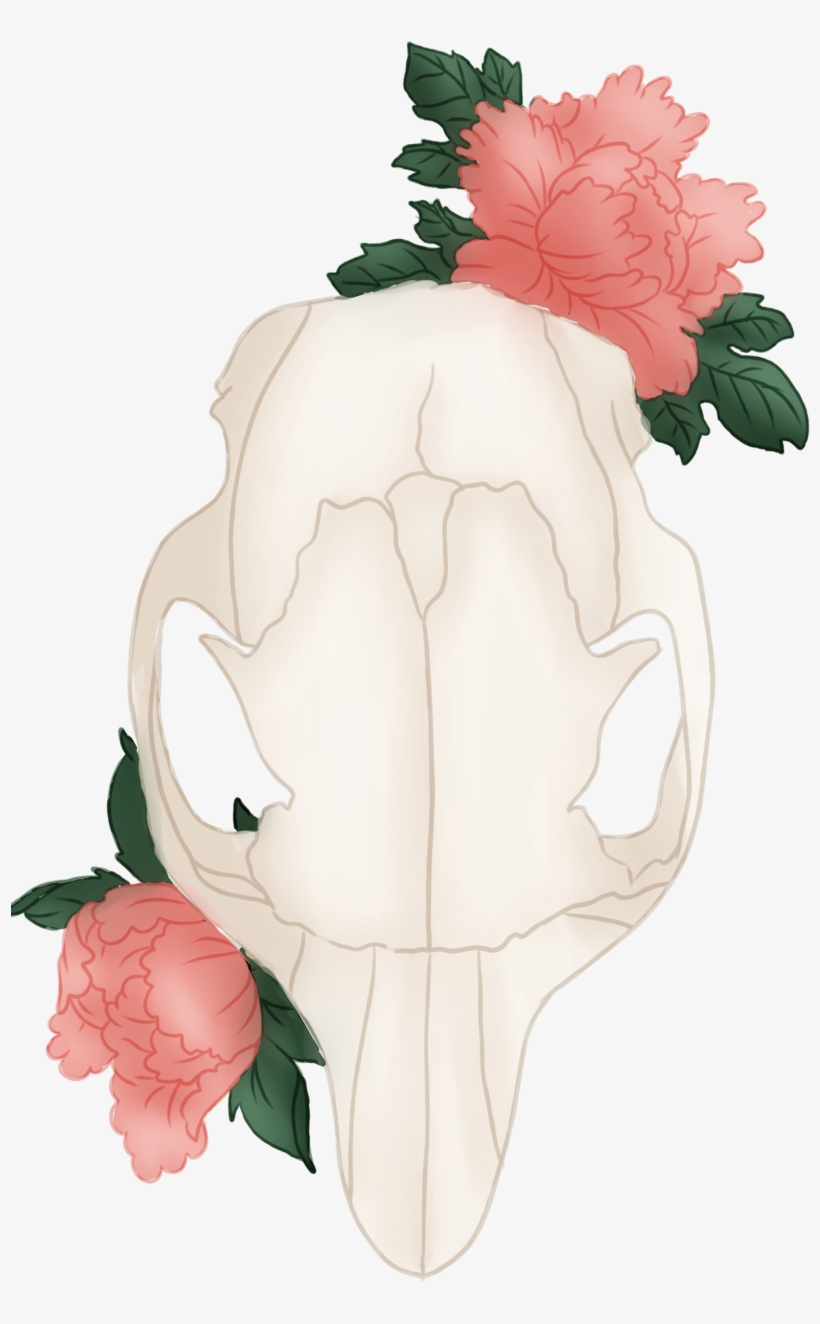 Two New T-shirt Designs Available On My Redbubble And - Squirrel, transparent png