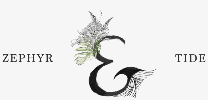 Our Story - Tide, transparent png