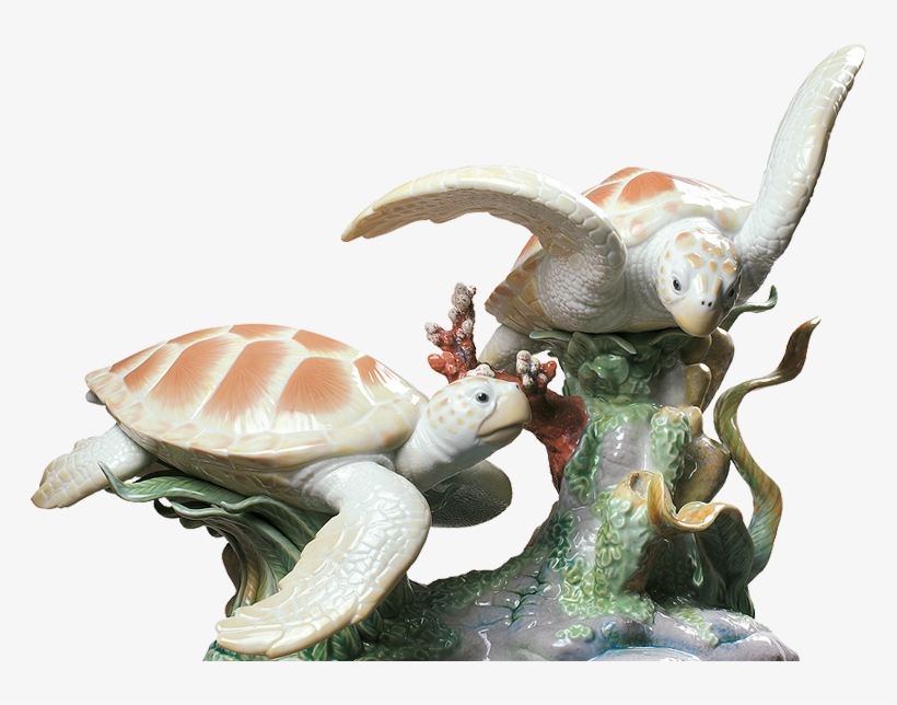 Tortugas 2, transparent png