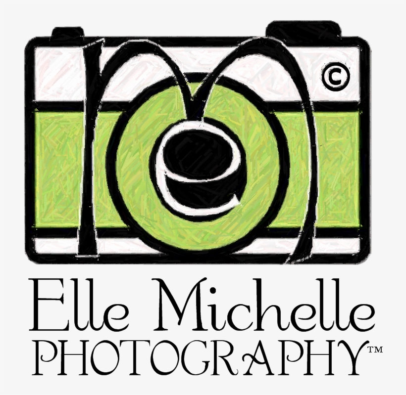 Find Us On Facebook Facebook - Damask, transparent png