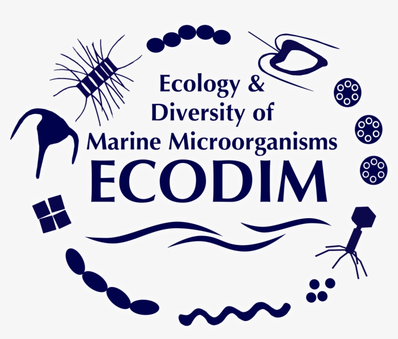 Toggle Navigation - Far East Organization, transparent png