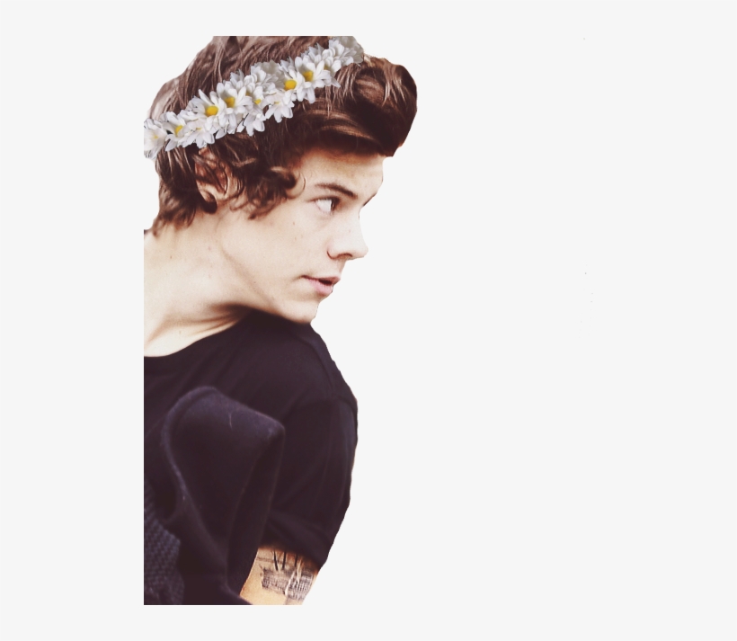 Harry Styles, Harry, And Styles Image - Harry Styles, transparent png
