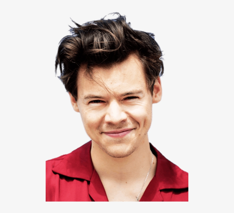Music Stars - Harry Styles Camisa Roja, transparent png
