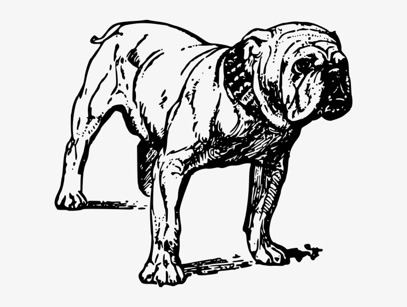 Bulldog Clipart Png, transparent png