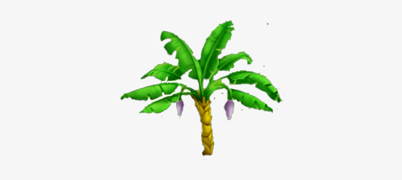 Banana Tree Stage 1 - Png Images Of Banana Tree, transparent png