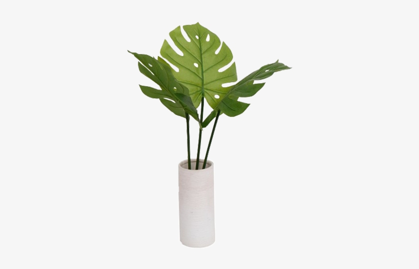 Vase With Plant Png, transparent png