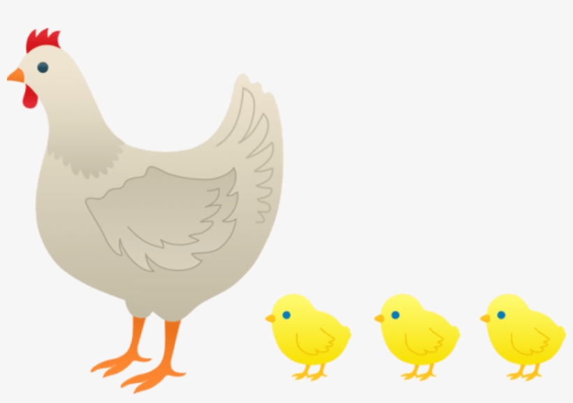 Mother Hen And Baby Chicks - Hen And Chicks Clipart, transparent png