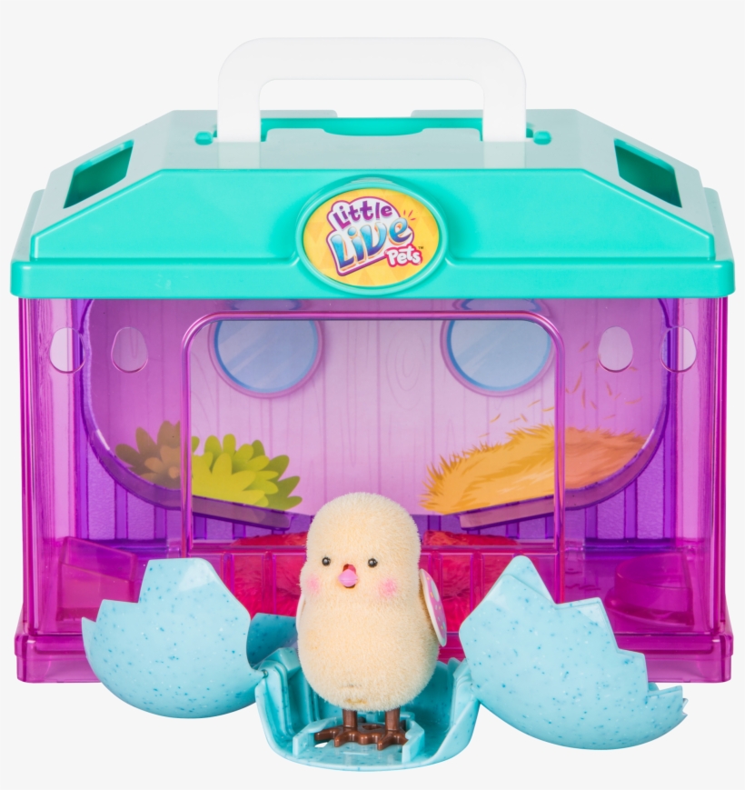 Llp Baby Chick House S - Toy, transparent png