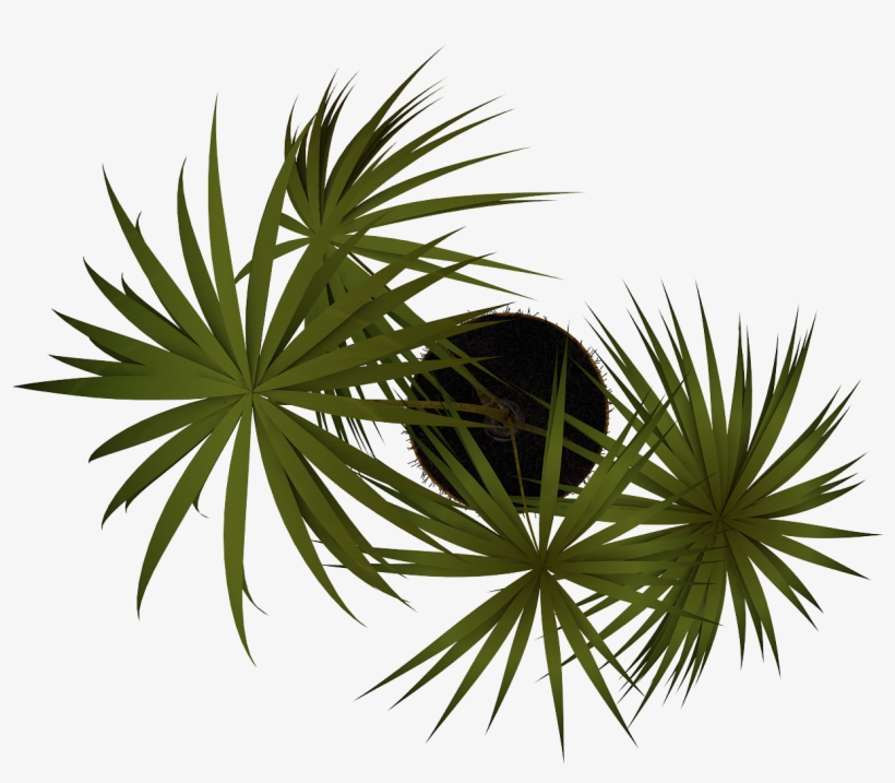 Free Png Plant Png Images Transparent - Vegetación En Planta Png, transparent png