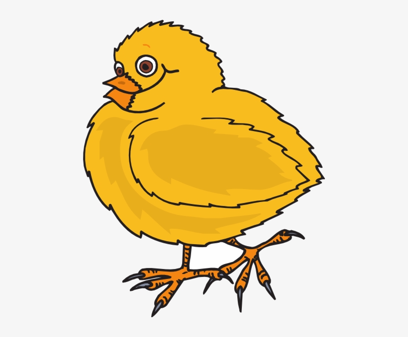Clipart Baby Chick - Con Gà Con Lông Vàng, transparent png