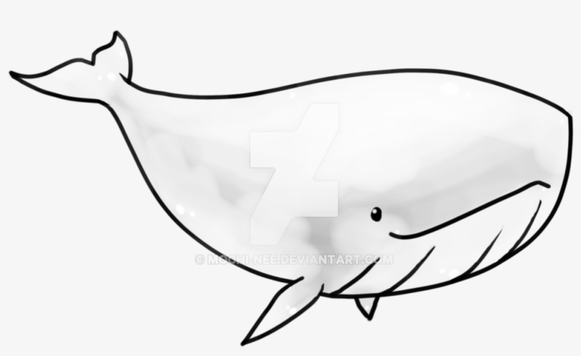 Transparent Whale By Eiocia On Deviantart - Blue Whale, transparent png