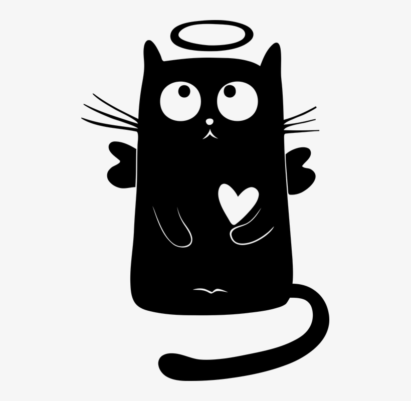 I Would Humor You On The Howto, Yet First Some History - Luto Por Um Gato, transparent png