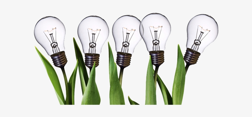 Innovation Png Resolution - Pequeñas Empresas, Grandes Ideas [book], transparent png
