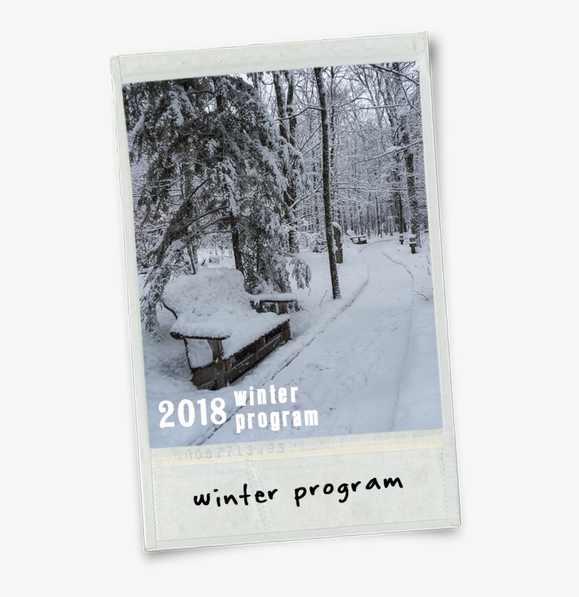 The - Snow, transparent png