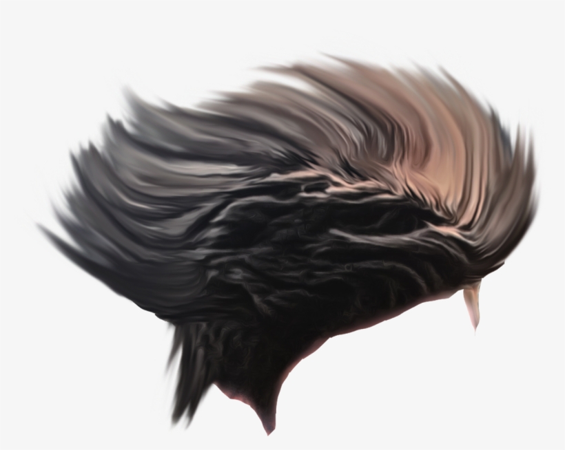 Hair Png Photo Images And Clipart, transparent png