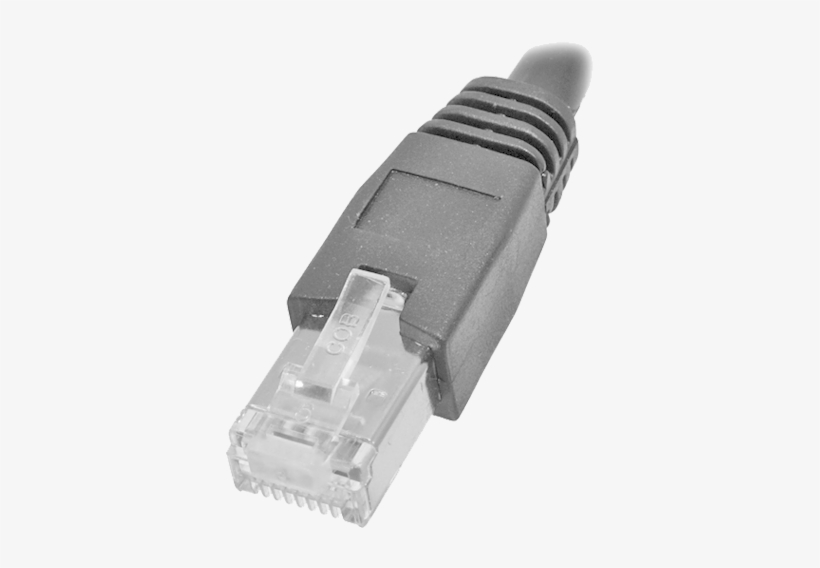 1 3d Image Viewer View Magnified Image Rj45 Straight - Right Angle Rj45, transparent png