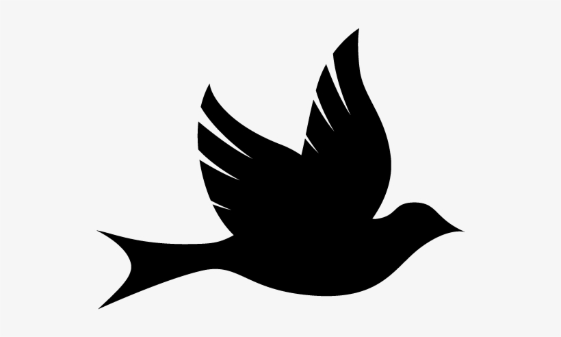 Logo Logo Logo Logo Logo - Peace Of Mind Text, transparent png