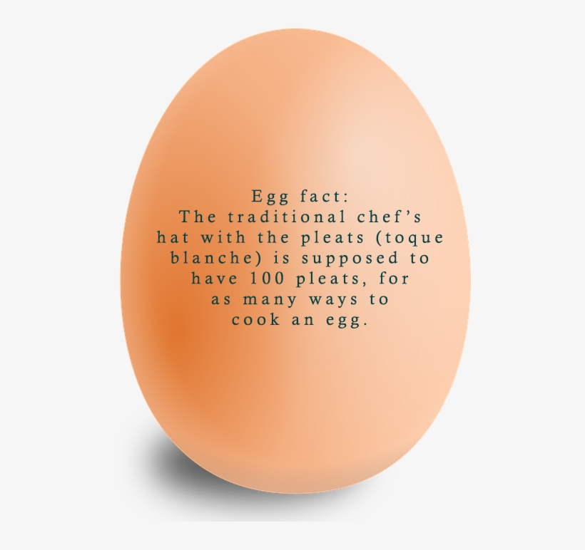 Egg Faxct - Circle, transparent png