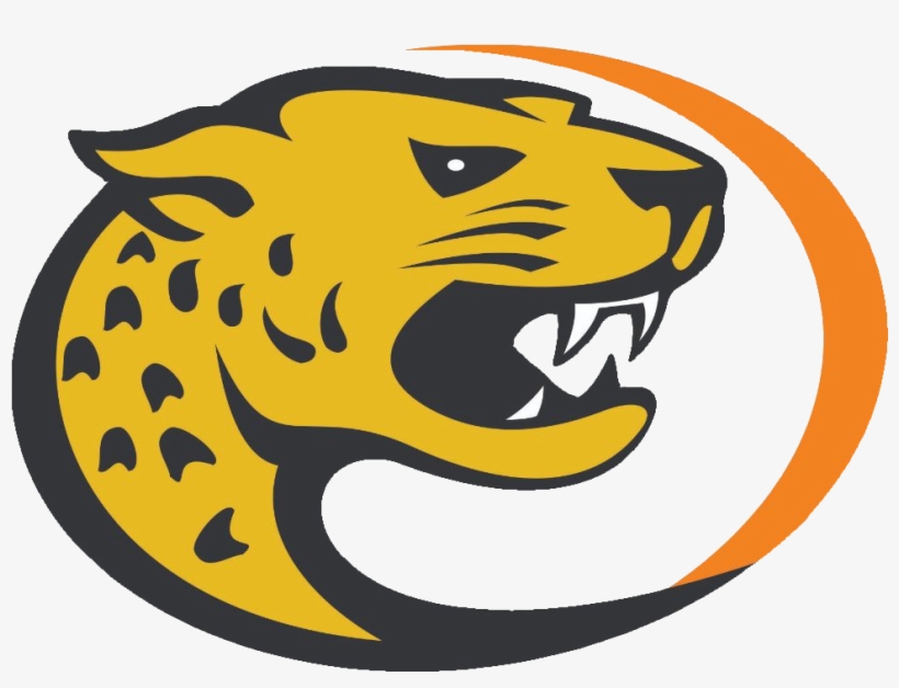 Argentina National Rugby Union Team, transparent png