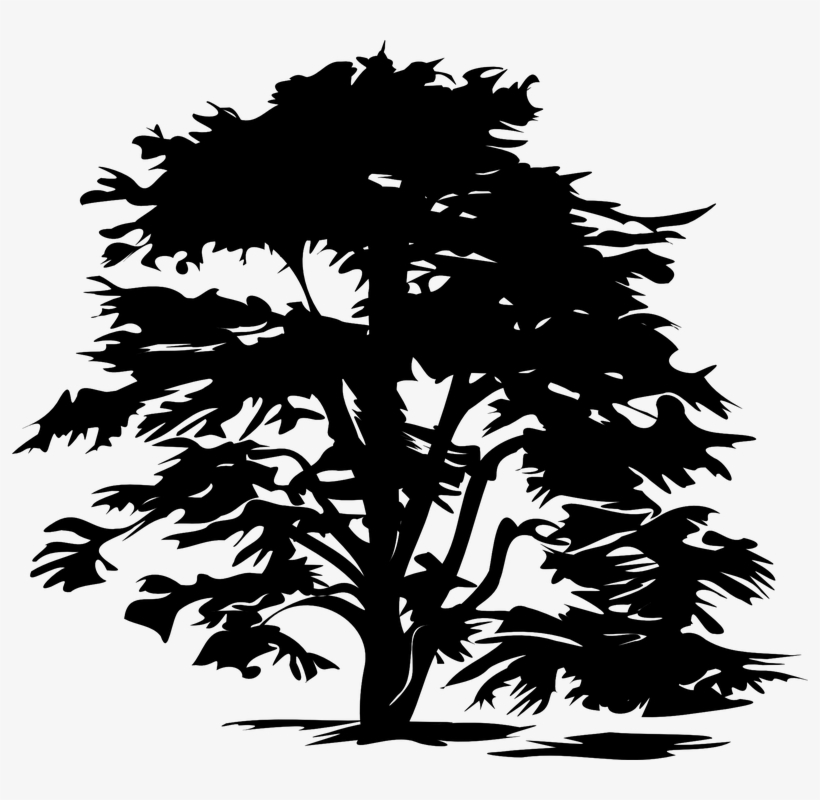 Sombra Arbol Png - Tree Clipart Black, transparent png