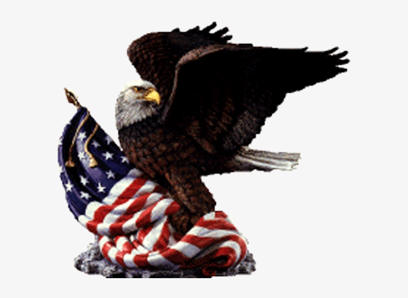 Adams Elementary - American Flag Eagle Clip Art, transparent png