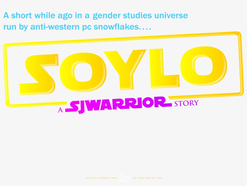 Kylo Ren Transgender Feminist Feminism Patriarchy Antifa - Graphic Design, transparent png