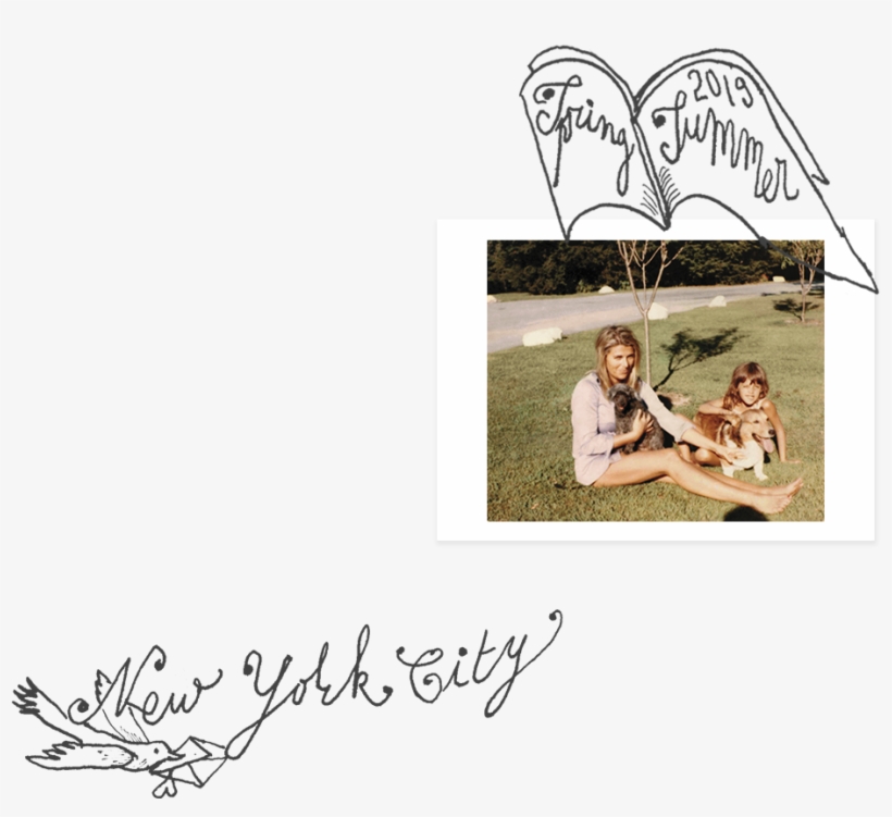 Tory Daily - Shoe, transparent png