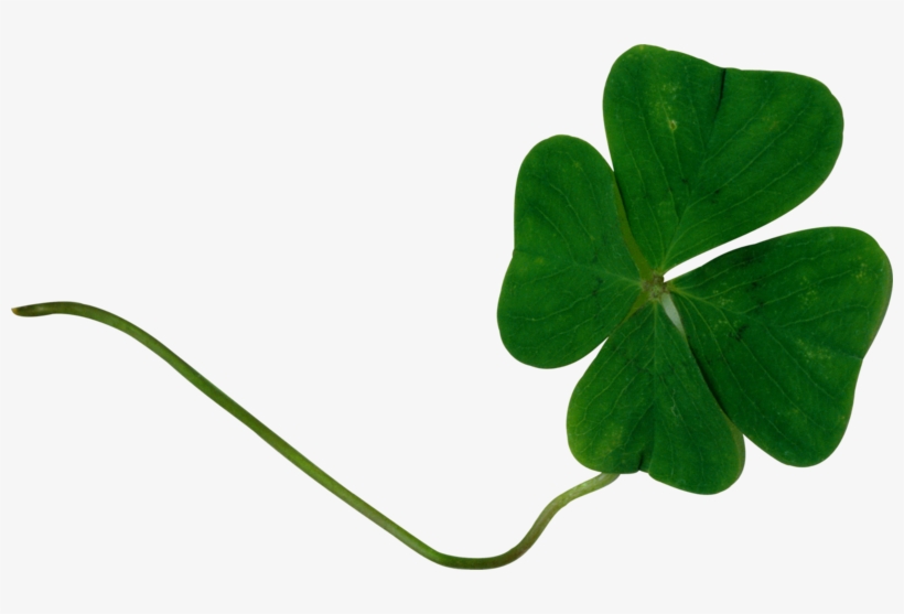 Patrick's Day Png - Portable Network Graphics, transparent png
