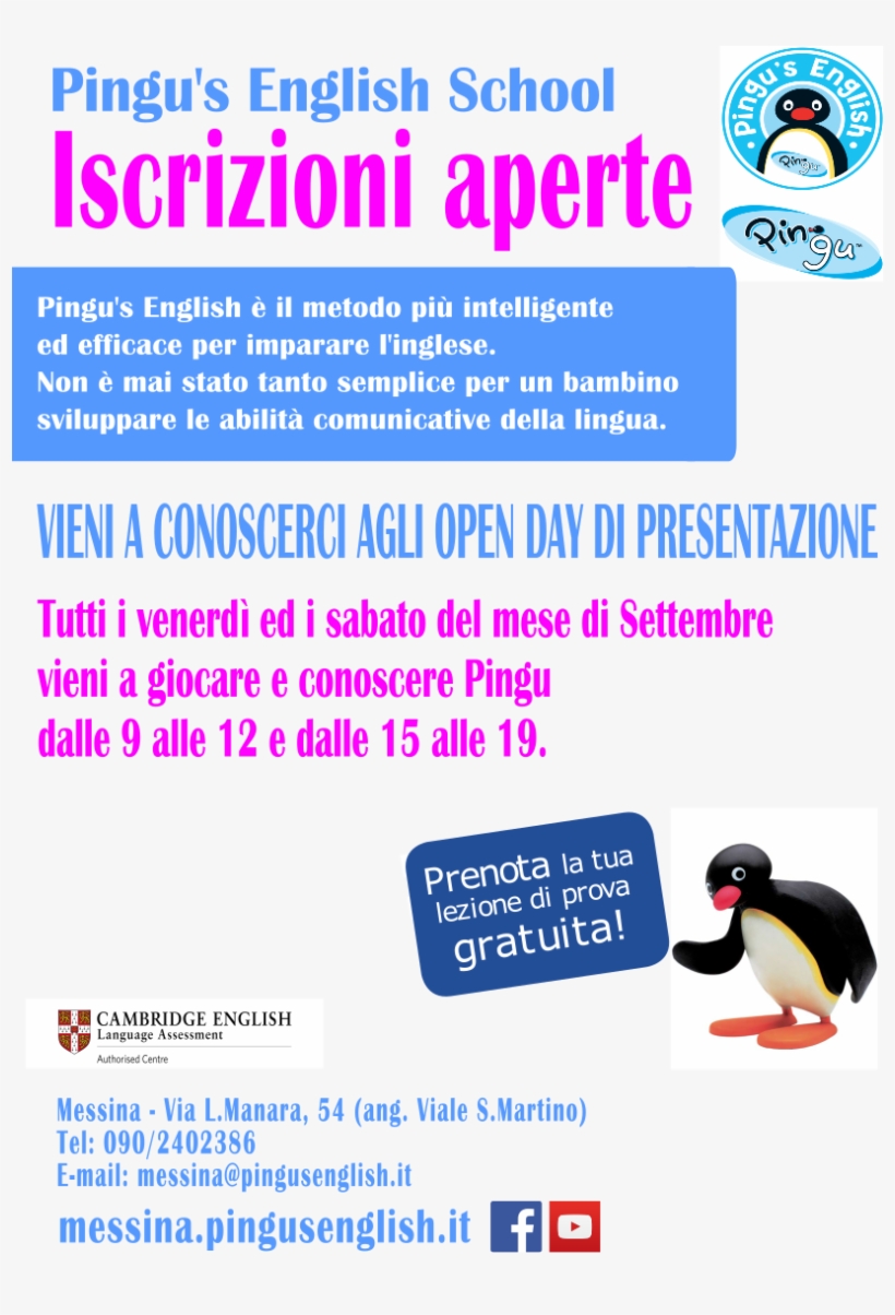 Pingu, transparent png