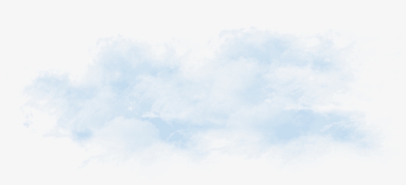 Test Page Jc Football - Tree, transparent png