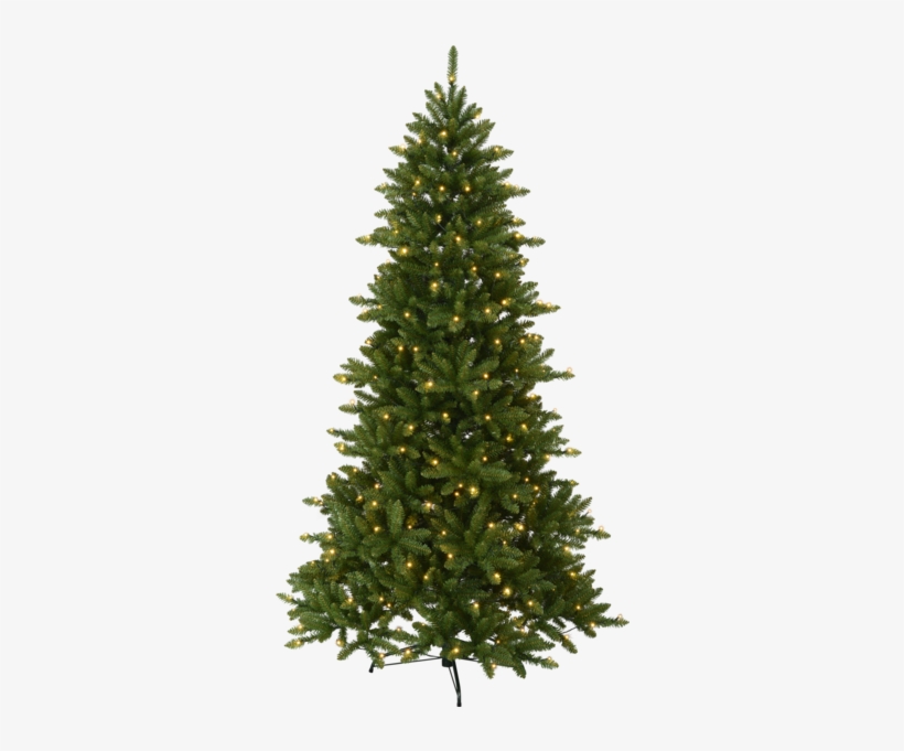 Christmas Tree W Led Minnesota - Fir Christmas Tree, transparent png