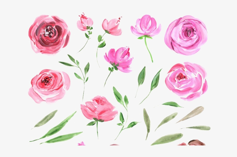 Peonies Free Png Image, transparent png