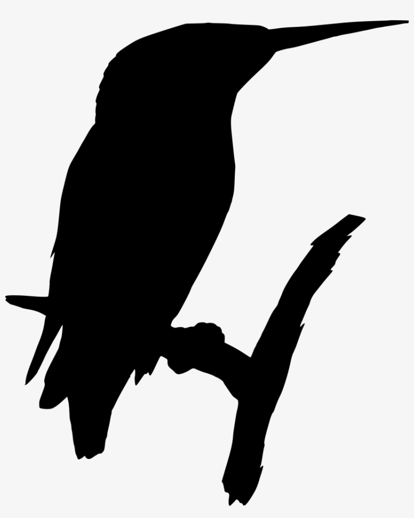 Download Png - Bird, transparent png
