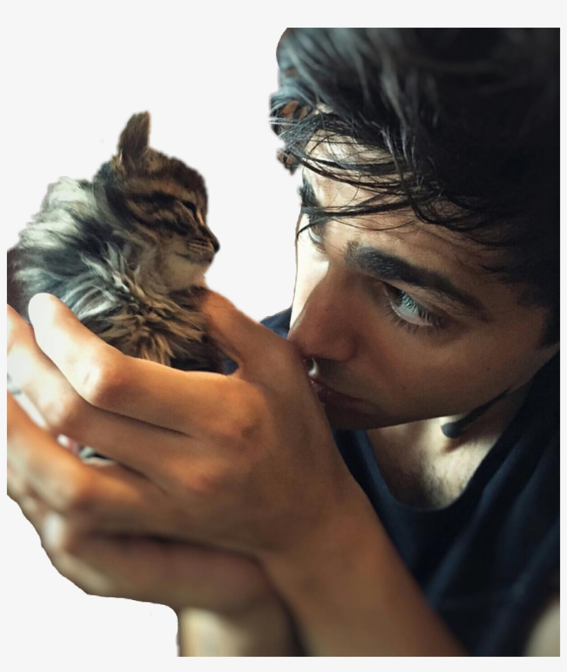 Matthew Daddario And Animals, transparent png