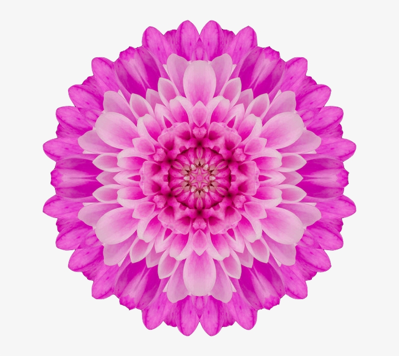 Please Feel Free To Contact And Share With Me About, transparent png