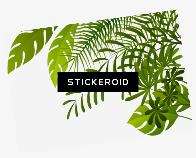 Jungle Tree Nature - Illustration, transparent png