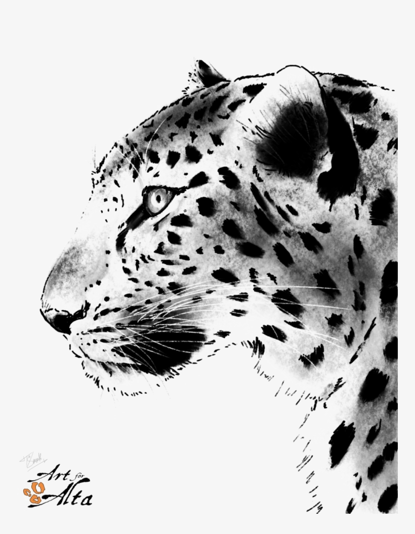 Leopard Face Png Picture - Amur Leopard Black And White, transparent png