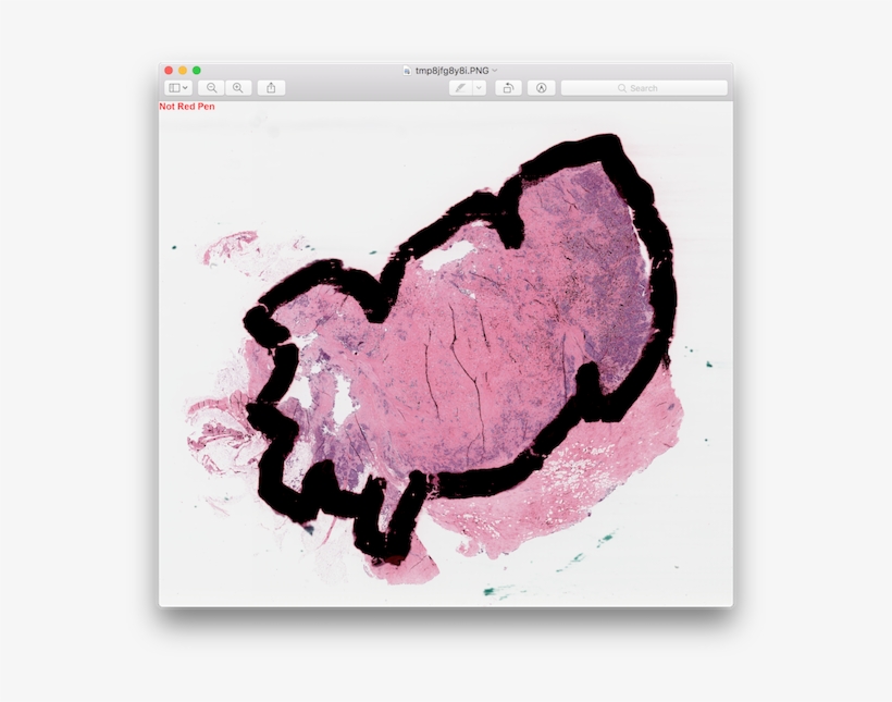 Not Red Pen, Red Pen - Illustration, transparent png