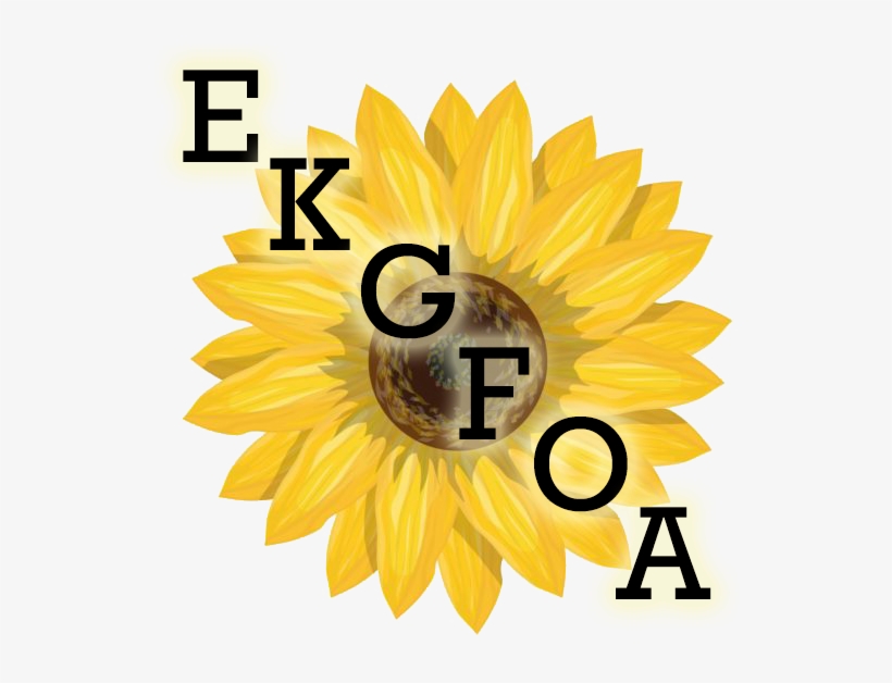 Sunflower Vector Png, transparent png