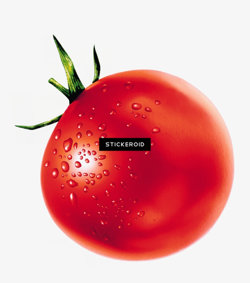 Tomato - Tomato With No Background, transparent png