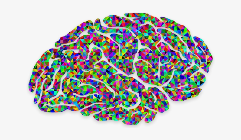 The Next Level In Your Meditation - Magnetite In Humans Brain, transparent png