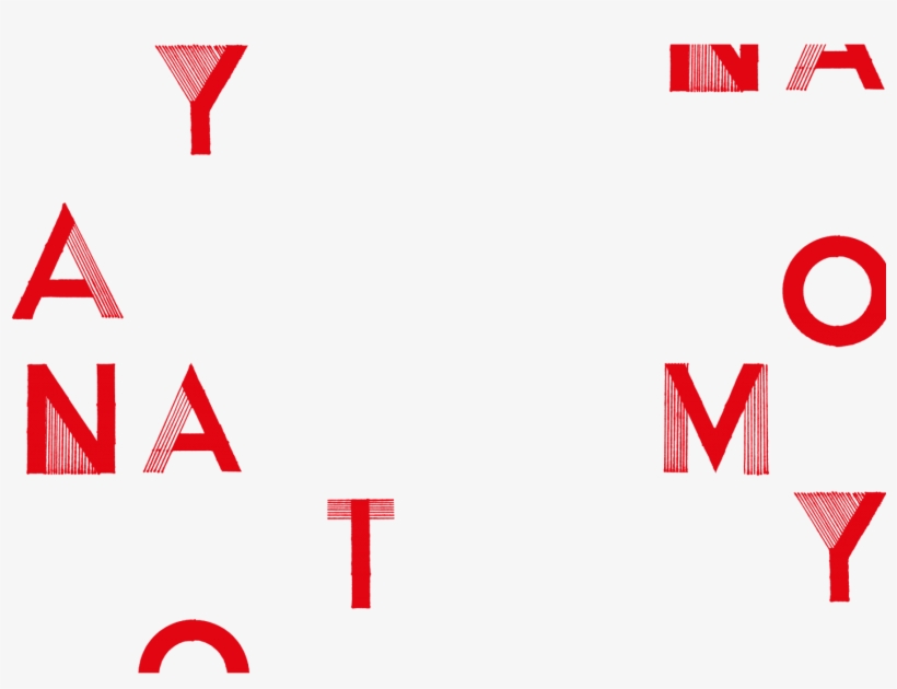 Anatomy And Physiology Of The Brain Essay Custom Paper - Anatomy, transparent png