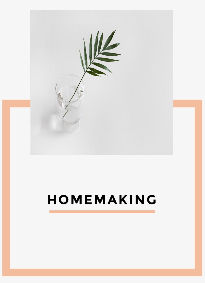 Homemaking - Agave, transparent png