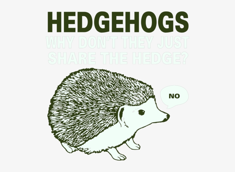 Hedgehogs Why Dont They Just Share The Hedge No - Book, transparent png