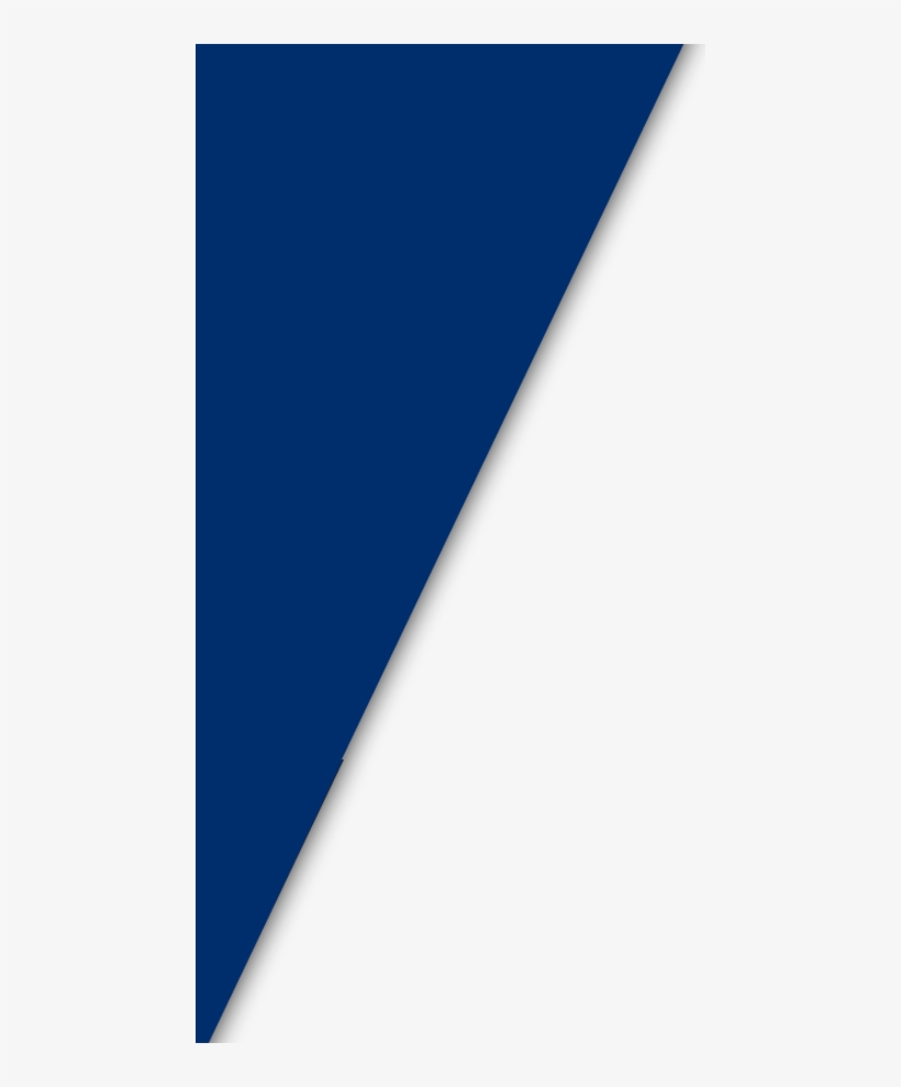 Experience - Integrity - Results - Fondo, transparent png
