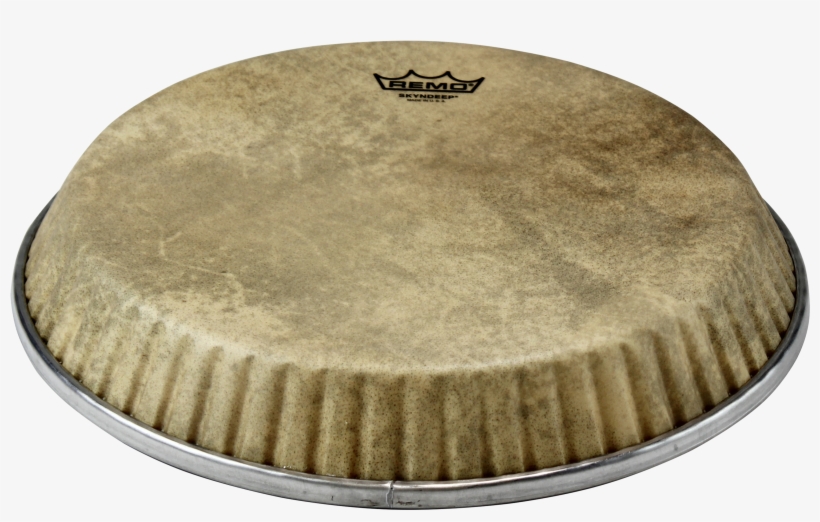 Remo Symmetry Skyndeep Conga Drumhead-calfskin Graphic, - Remo Crimplock Symmetry Skyndeep D4 Conga Drumhead, transparent png
