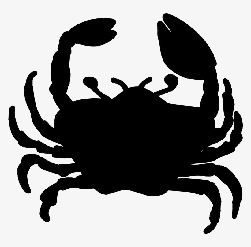 Picture - Cancer - Freshwater Crab, transparent png