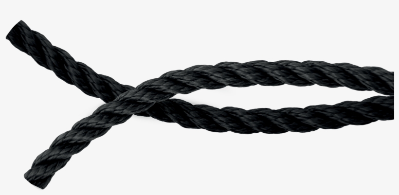 15526 - Lanex As, transparent png